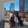 nicholas_corso